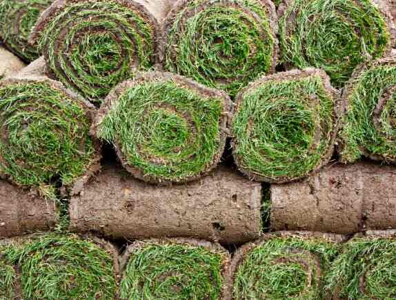 turf rolls